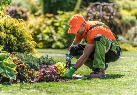 Landscaper working on a garden - Local SEO strategy for landscaping businesses